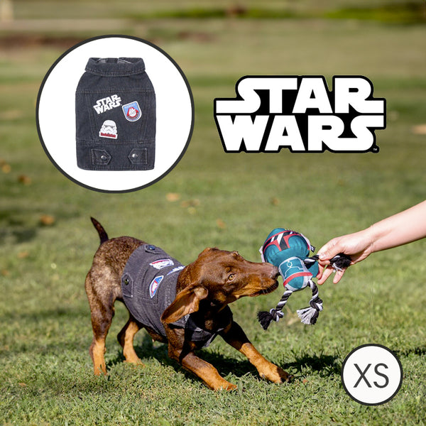 Giacca per cani Star Wars Jeans Grigio XS