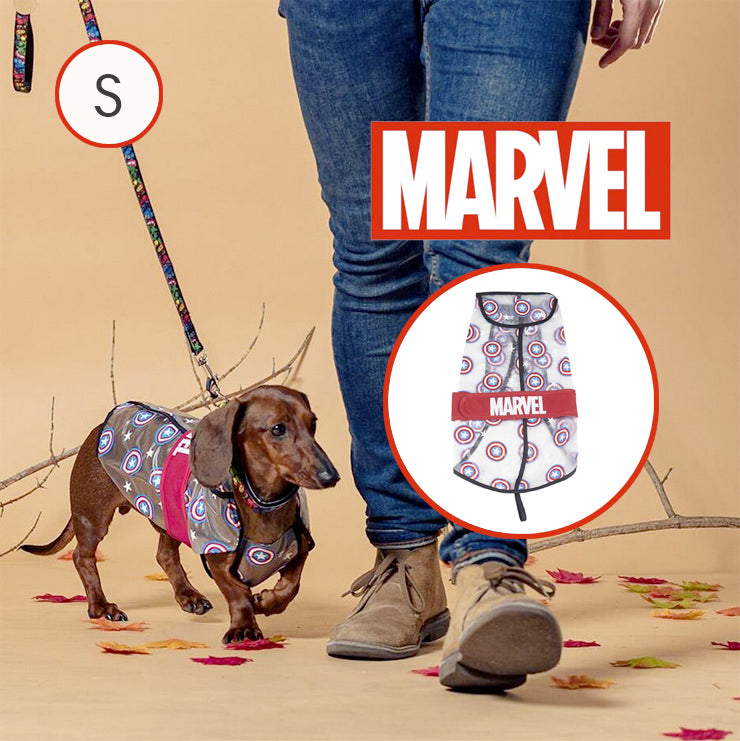 Impermeabile per Cani Trasparente The Avengers S