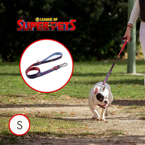 Collare per cani dc pets superdog S
