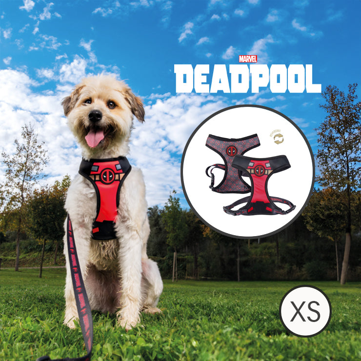 Pettorina per Cani Double Face Deadpool XS