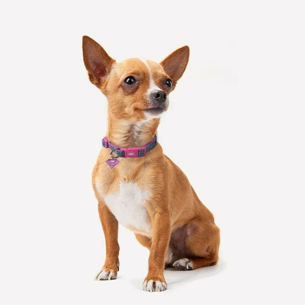 Collare per Cani Supergirl Rosa XS
