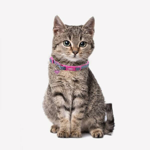 Collare per Cani Supergirl Rosa XS
