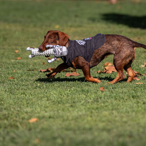 Giacca per cani Star Wars Jeans Grigio XS