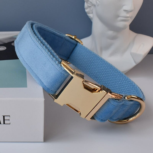 PERSONALIZZABILE - SET COLLARE PER CANI IN VELLUTO CELESTE