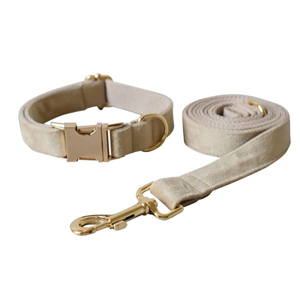 PERSONALIZZABILE - SET COLLARE PER CANI IN VELLUTO GRANO