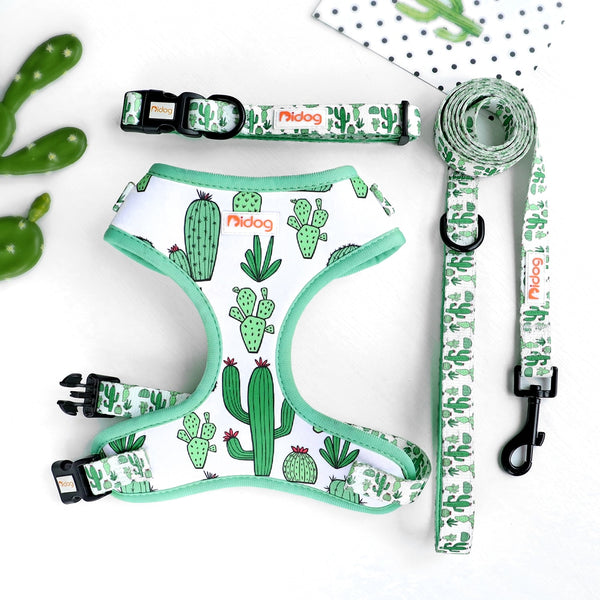 DOG HARNESS SET WITH LEASH AND COLLAR