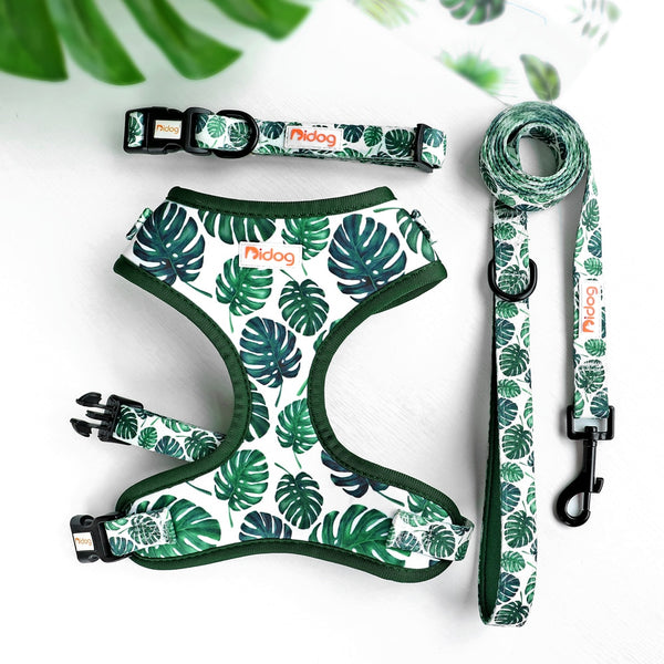 DOG HARNESS SET WITH LEASH AND COLLAR