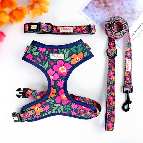 DOG HARNESS SET WITH LEASH AND COLLAR