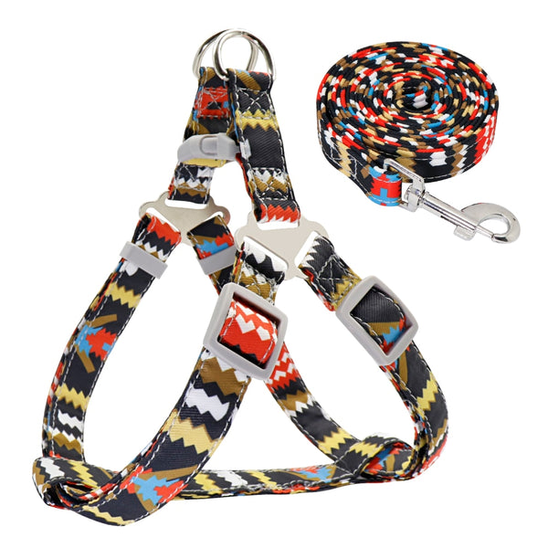 SET PETTORINA PER CANI LIGHT CON GUINZAGLIO