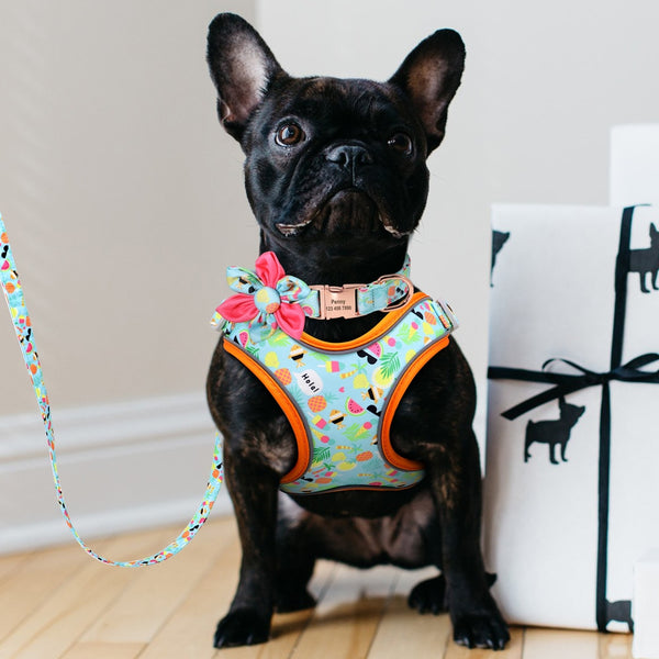 PERSONALIZZABILE - SET PETTORINA PER CANI CON BORDO CATARIFRANGENTE, COLLARE E GUINZAGLIO FRUTTI