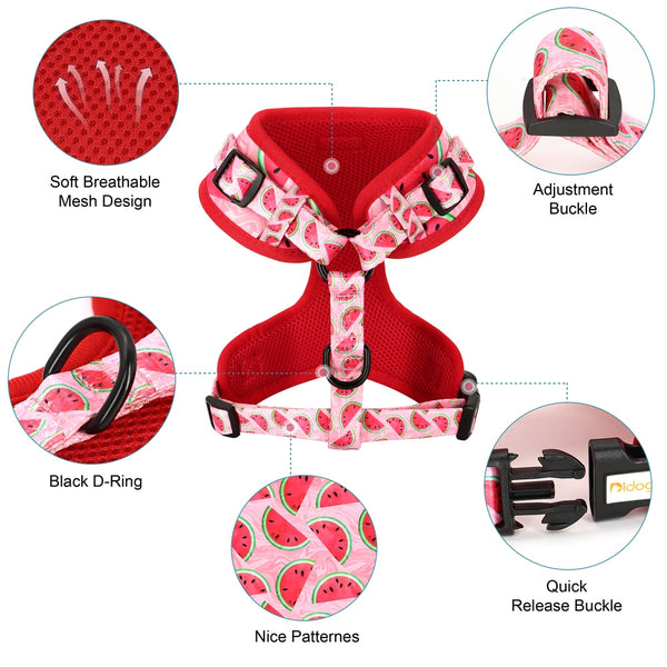 DOG HARNESS SET WITH LEASH AND COLLAR