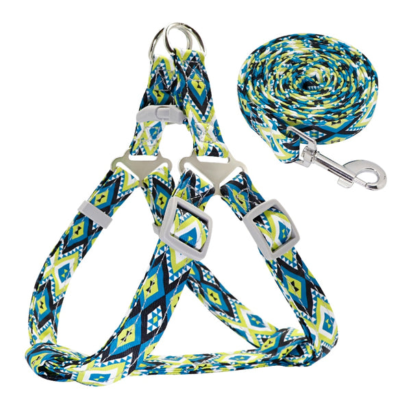 SET PETTORINA PER CANI LIGHT CON GUINZAGLIO