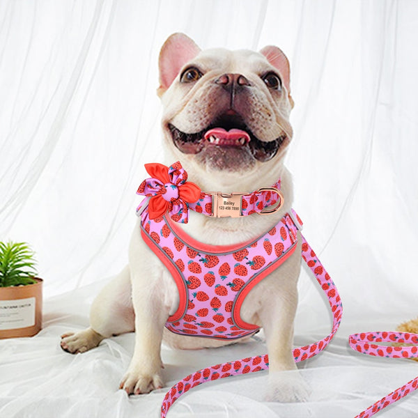 PERSONALIZZABILE - SET PETTORINA PER CANI CON BORDO CATARIFRANGENTE, COLLARE E GUINZAGLIO FRUTTI