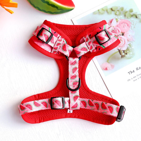 DOG HARNESS SET WITH LEASH AND COLLAR