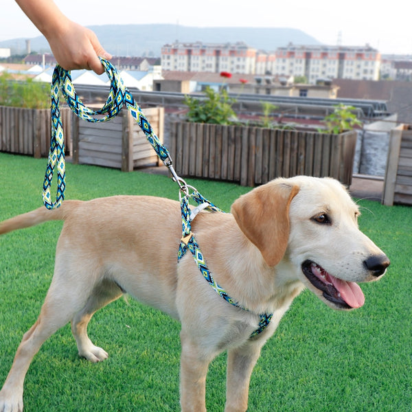 SET PETTORINA PER CANI LIGHT CON GUINZAGLIO