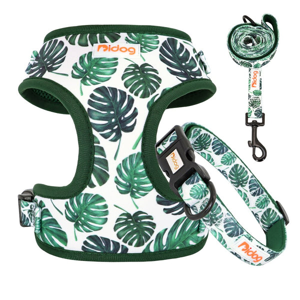 DOG HARNESS SET WITH LEASH AND COLLAR