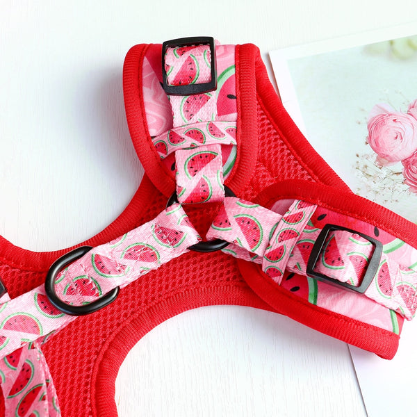 DOG HARNESS SET WITH LEASH AND COLLAR