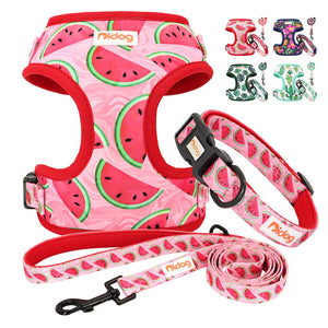 DOG HARNESS SET WITH LEASH AND COLLAR