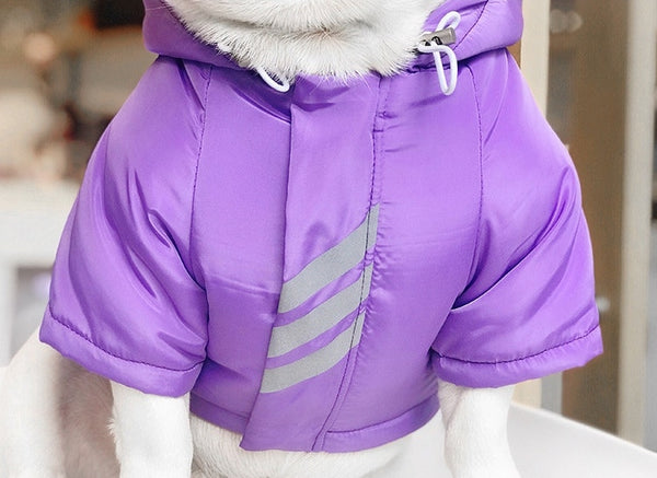 GIUBBOTTO PER CANI Just Pup It!