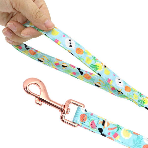 PERSONALIZZABILE - SET PETTORINA PER CANI CON BORDO CATARIFRANGENTE, COLLARE E GUINZAGLIO FRUTTI