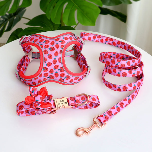 PERSONALIZZABILE - SET PETTORINA PER CANI CON BORDO CATARIFRANGENTE, COLLARE E GUINZAGLIO FRUTTI