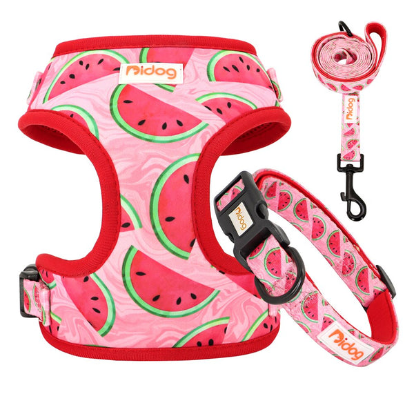 DOG HARNESS SET WITH LEASH AND COLLAR