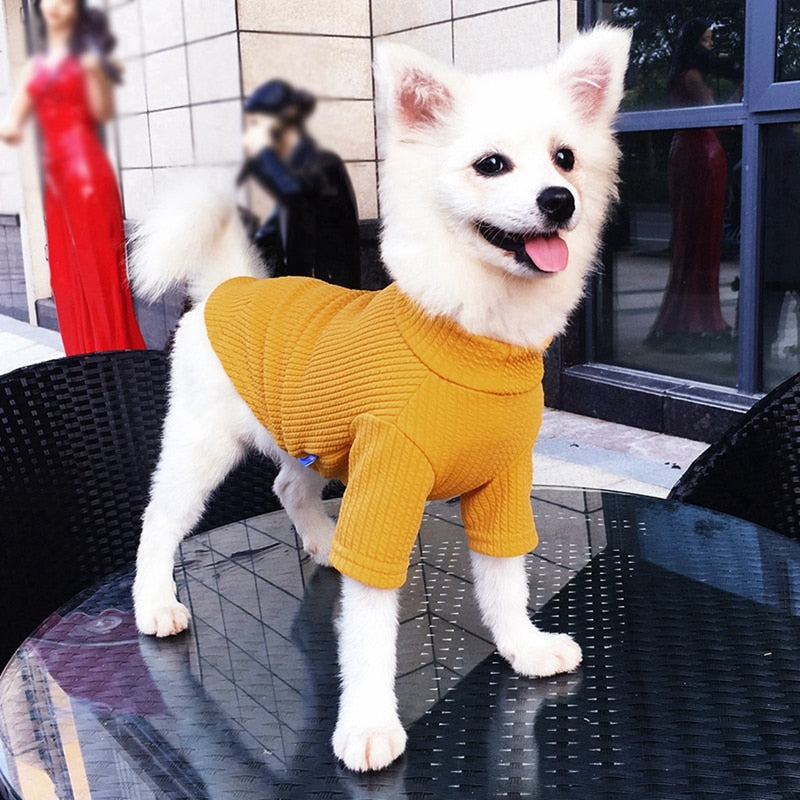 VESTITO PER CANI COLORATO ELASTICIZZATO