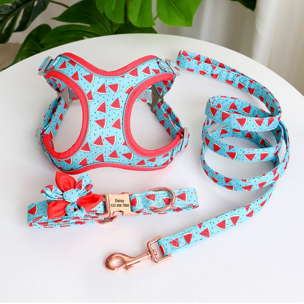 PERSONALIZZABILE - SET PETTORINA PER CANI CON BORDO CATARIFRANGENTE, COLLARE E GUINZAGLIO FRUTTI