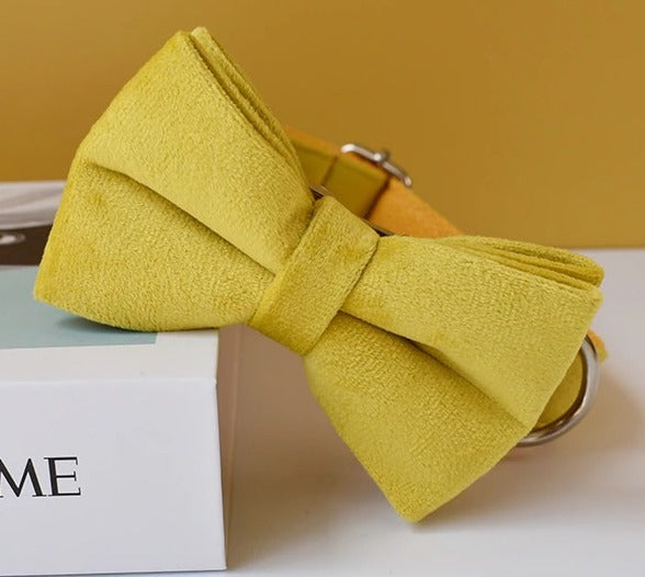 PERSONALIZZABILE - SET COLLARE PER CANI IN VELLUTO GIALLO