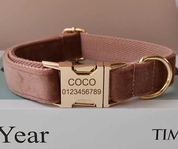 PERSONALIZZABILE - SET COLLARE PER CANI IN VELLUTO NOCCIOLA