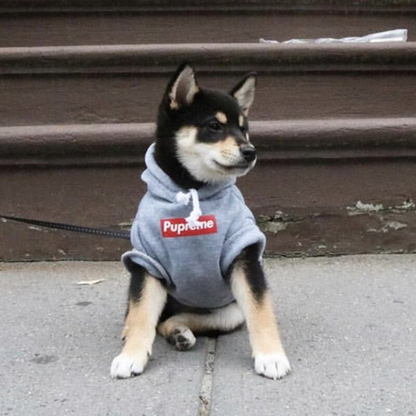 FELPA PER CANI Pupreme