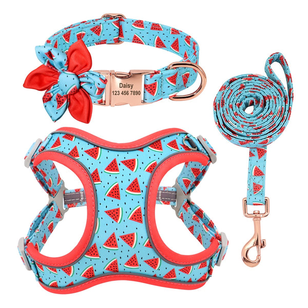 PERSONALIZZABILE - SET PETTORINA PER CANI CON BORDO CATARIFRANGENTE, COLLARE E GUINZAGLIO FRUTTI