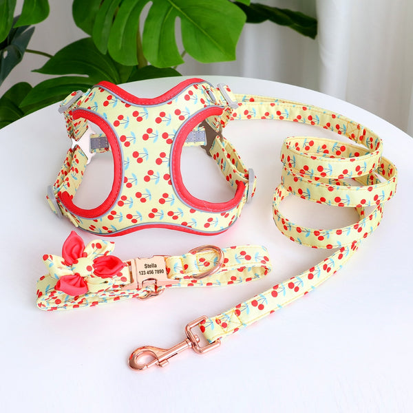 PERSONALIZZABILE - SET PETTORINA PER CANI CON BORDO CATARIFRANGENTE, COLLARE E GUINZAGLIO FRUTTI