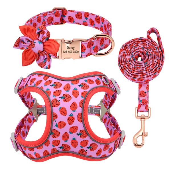 PERSONALIZZABILE - SET PETTORINA PER CANI CON BORDO CATARIFRANGENTE, COLLARE E GUINZAGLIO FRUTTI