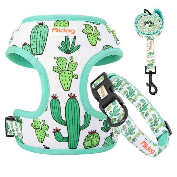 DOG HARNESS SET WITH LEASH AND COLLAR