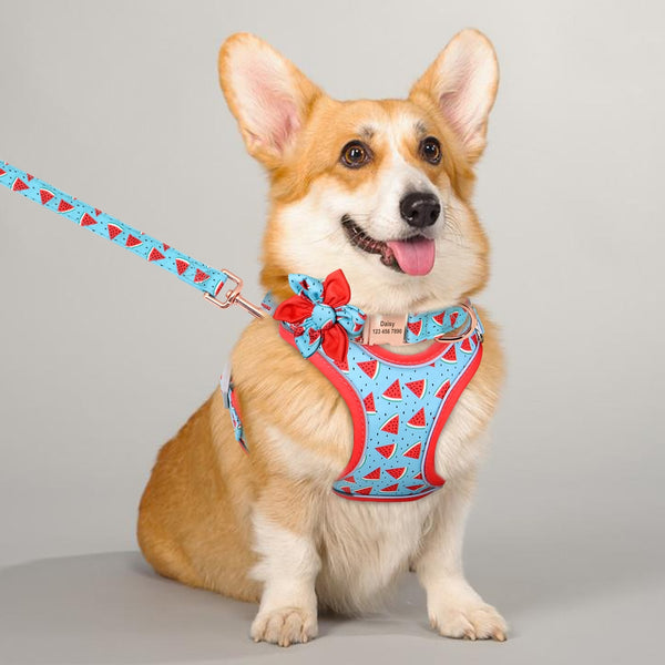 PERSONALIZZABILE - SET PETTORINA PER CANI CON BORDO CATARIFRANGENTE, COLLARE E GUINZAGLIO FRUTTI