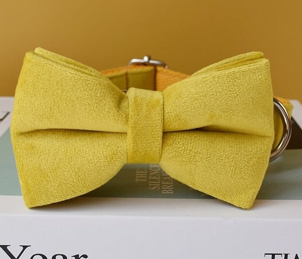 PERSONALIZZABILE - SET COLLARE PER CANI IN VELLUTO GIALLO