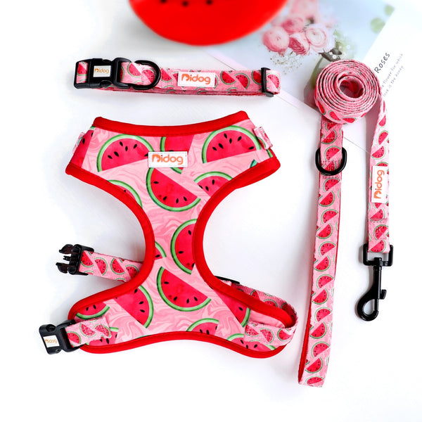 DOG HARNESS SET WITH LEASH AND COLLAR