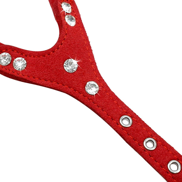 PETTORINA PER CANI CON STRASS LIGHT