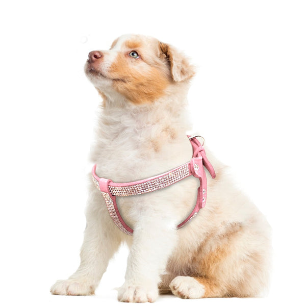 PETTORINA PER CANI CON STRASS LIGHT