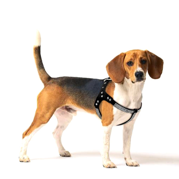 PETTORINA PER CANI CON STRASS LIGHT