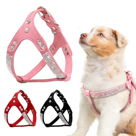 PETTORINA PER CANI CON STRASS LIGHT
