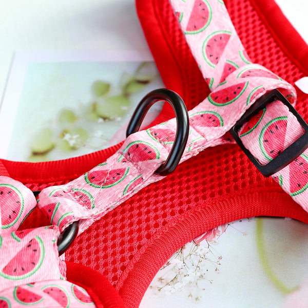 DOG HARNESS SET WITH LEASH AND COLLAR