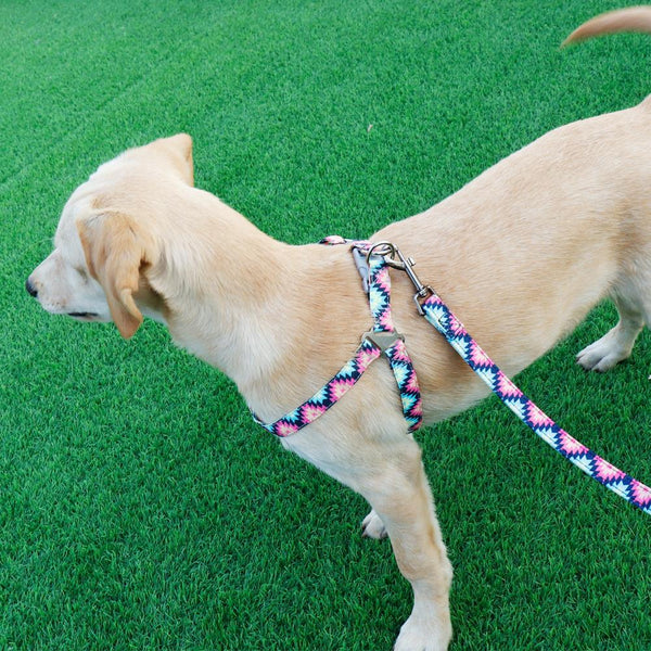 SET PETTORINA PER CANI LIGHT CON GUINZAGLIO