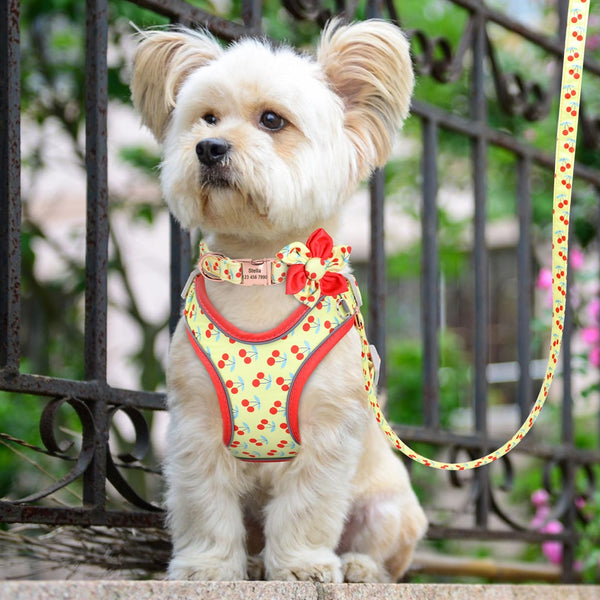 PERSONALIZZABILE - SET PETTORINA PER CANI CON BORDO CATARIFRANGENTE, COLLARE E GUINZAGLIO FRUTTI