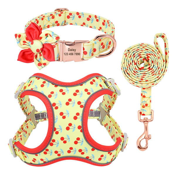 PERSONALIZZABILE - SET PETTORINA PER CANI CON BORDO CATARIFRANGENTE, COLLARE E GUINZAGLIO FRUTTI