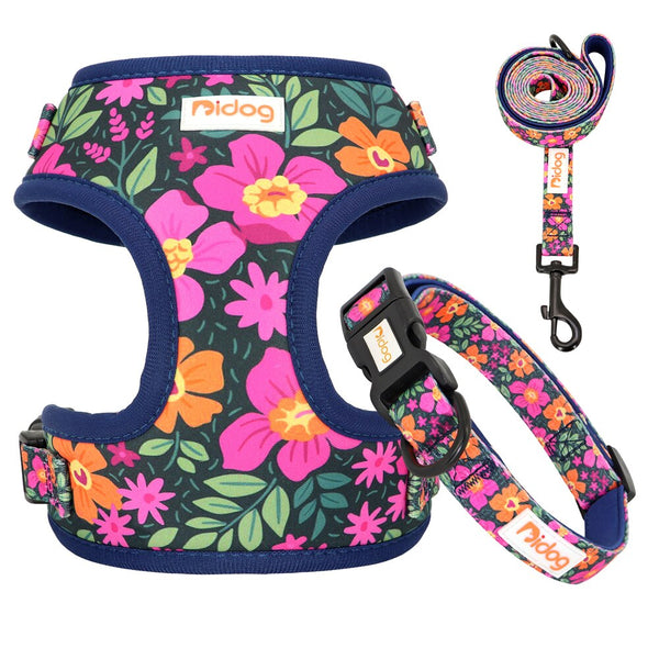 DOG HARNESS SET WITH LEASH AND COLLAR