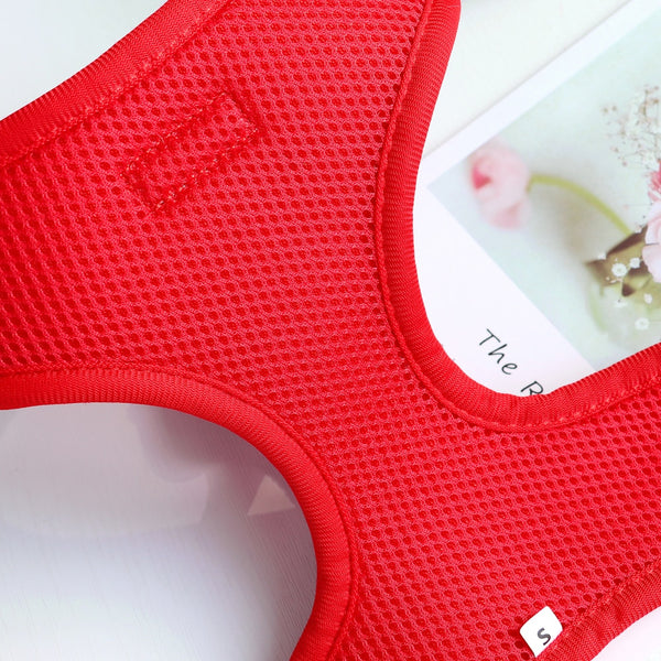 DOG HARNESS SET WITH LEASH AND COLLAR