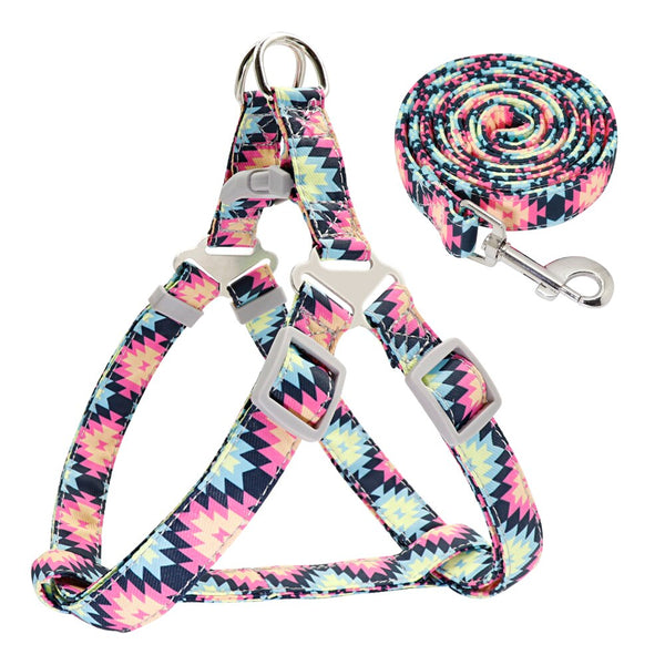 SET PETTORINA PER CANI LIGHT CON GUINZAGLIO