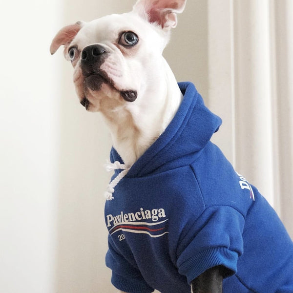 SWEATSHIRT FOR DOGS Pawlenciaga